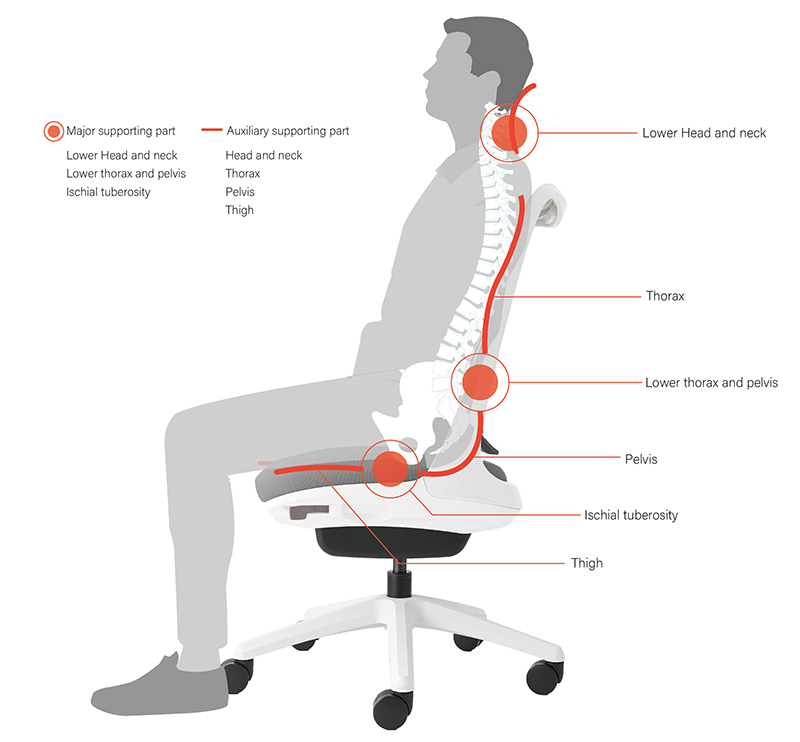 Ergonomics