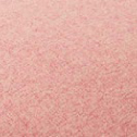 color:SALMON PINK