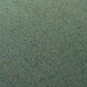 color:Moss green